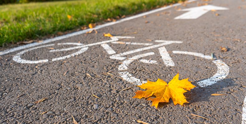 Bike path in the autumn Park. A symbol of cycle paths on the pavement